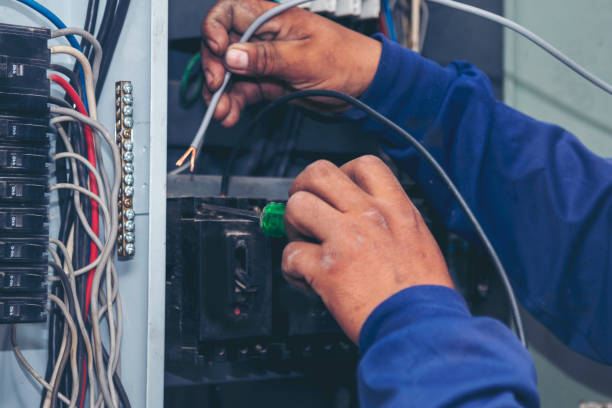 Best Electric Panel Repair  in Fobes Hill, WA